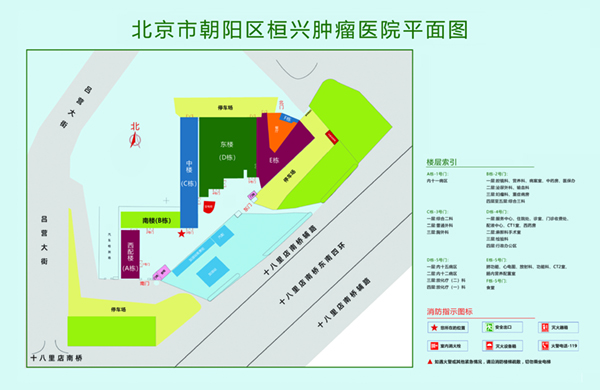 啊嗯啊好多水日我视频北京市朝阳区桓兴肿瘤医院平面图